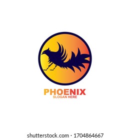 Phoenix logo design template. Vector Illustration
