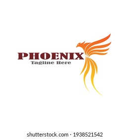 Phoenix logo design template. Vector Illustration