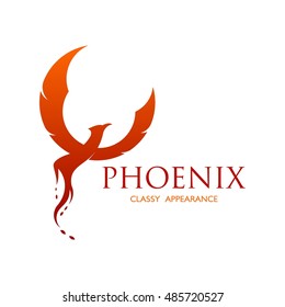 Phoenix logo design template. Vector Illustration