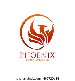 Phoenix logo design template. Vector Illustration