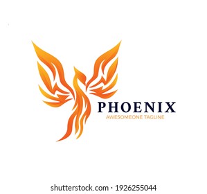 Phoenix logo design vector illustration