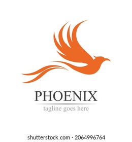 Phoenix logo design vector illustration