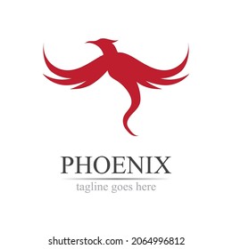 Phoenix logo design vector illustration