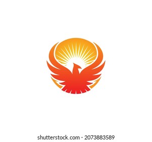 Logo de Phoenix Sun. Plantilla de diseño del logotipo del vector