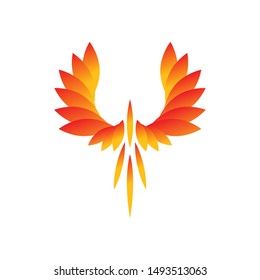 phoenix logo flying logo vector design template