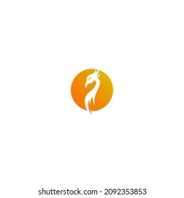 Phoenix logo icon design template vector illustration