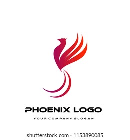 phoenix logo template