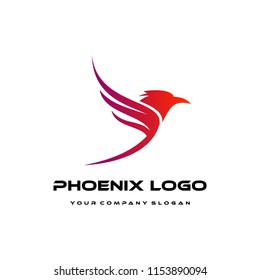 phoenix logo template
