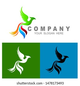 phoenix logo template, eagle logo vector,  tail icon with colorful, eagle icon template
