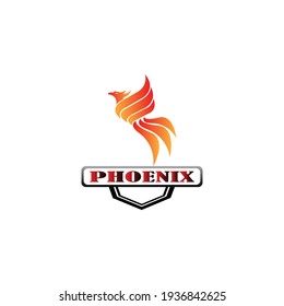 Phoenix logo template  Fire-bird  Eagle logo