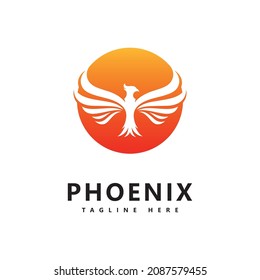 Phoenix logo vector template  design 
