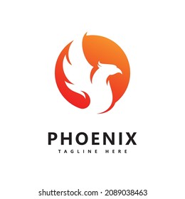 Phoenix logo vector template  design 