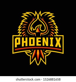 phoenix mascot logo for team, sport, gaming, etc.