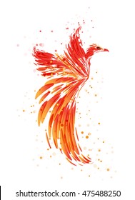 Phoenix - Mythical Bird on white 