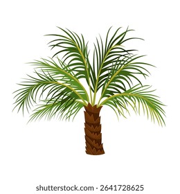 Phoenix palm or robellini, dwarf date tree. Vector miniature pygmy plant for sea coast, beach landscape. Icon for tropical garden and cultivation. Summer flora. Botany and exotic agriculture theme.
