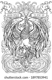 Phoenix or Phenix magic creature from ancient greek myths. Decorative background with fire flares. Black and white intricate drawing for colouring book. EPS10 vector illustration.