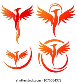 Phoenix vector design template for your company 
