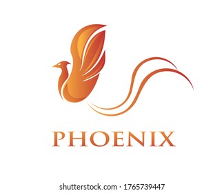 phoenix vector fire bird logo design