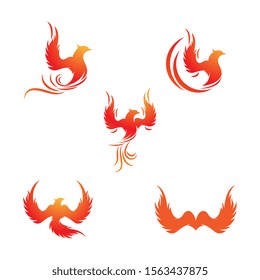 Phoenix vector icon illustration design template