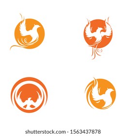 Phoenix vector icon illustration design template