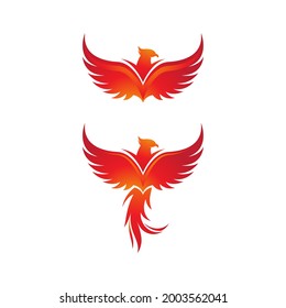 Phoenix vector icon illustration design template