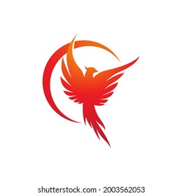 Phoenix vector icon illustration design template