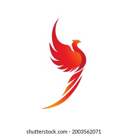 Phoenix vector icon illustration design template