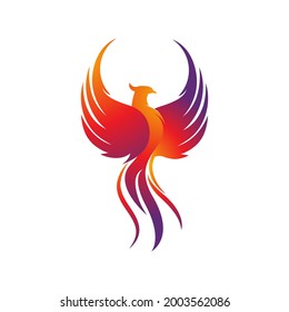 Phoenix vector icon illustration design template