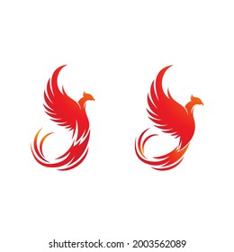 Phoenix vector icon illustration design template