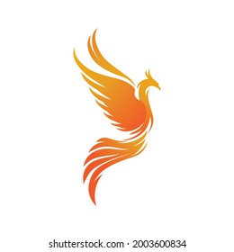 Phoenix vector icon illustration design template