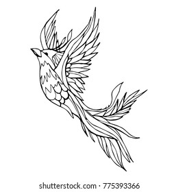 Phoenix vector illustration. Doodle style. Design, print, decor, textile, paper