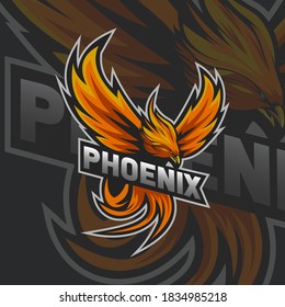 Phoenix Vector Illustration for an Esports Team or Group