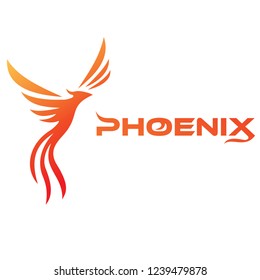 phoenix vector templates