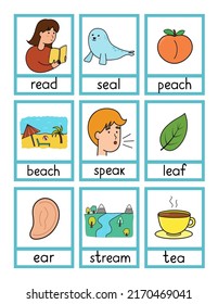 Phonics flashcards with -ea- spelling rule. Flash cards with phonics sound words and pictures activity for kids. Vector illustration