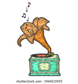 Phonograph with flowers and treble clef. Sketch scratch board imitation color.