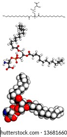 Phosphatidylserine (PS) cell membrane building block, molecular model. PS is also important in apoptosis (programmed cell death). Atoms are represented as spheres with conventional color coding 