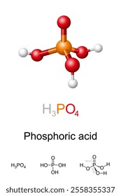 Phosphoric acid, H3PO4, molecule model, chemical formula and structure. Ball-and-stick model of orthophosphoric acid, an inorganic compound, major industrial chemical, and a component of fertilizers.