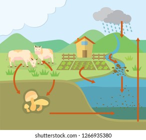 Phosphorus Cycle Chart, Flat Design