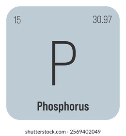 Phosphorus, P, periodic table element with name, symbol, atomic number and weight. Non-metal with various industrial uses, such as in fertilizer, detergents, and as a component of certain types of