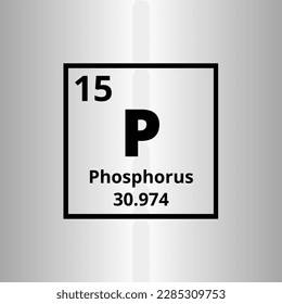Phosphorus P periodic table of elements vector