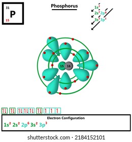 Phosphorus periodic table element atomic model displaying protons and neutrons in nucleus vector electronic configuration of electrons in shells and orbitals orbiting atom quantum inorganic chemistry.