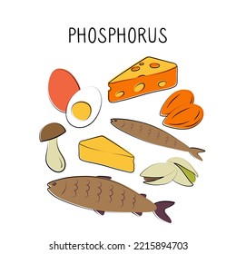 Phosphorus-containing food. Groups of healthy products containing vitamins and minerals. Set of fruits, vegetables, meats, fish and dairy