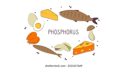 Phosphorus-containing food. Groups of healthy products containing vitamins and minerals. Set of fruits, vegetables, meats, fish and dairy