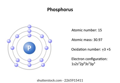 Phosporus atomic structure, atomic mass, atomic number and electron configuration. Vector illustration.