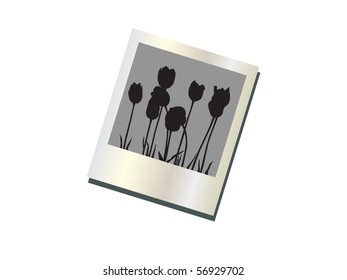 photo blank with space for your image