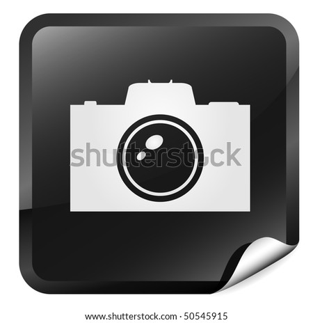   Photo button. vector