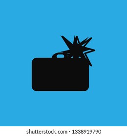 photo camera flash icon vector