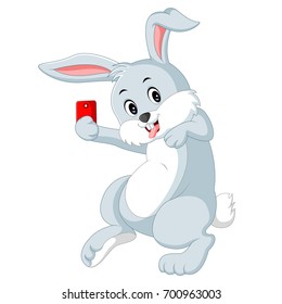 photo cute rabbit on white background
