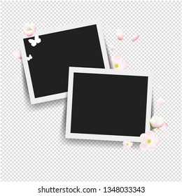 Photo With Flowers Transparent background With Gradient Mesh, Vector Illustration