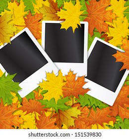  Photo frame with autumn leave